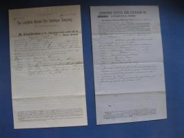 Litchfield Mutual Policies. Blue policy, policy n