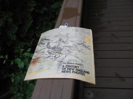 The Boston Globe. A Century of New England News P