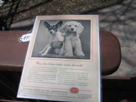 Paper Magazine Advertising for National Board of F